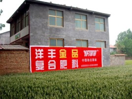 宁海如何让墙体广告展现最大化效果