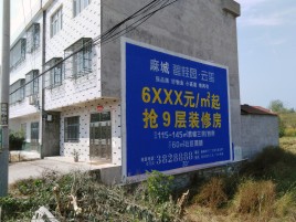 宁海墙体广告质量分析