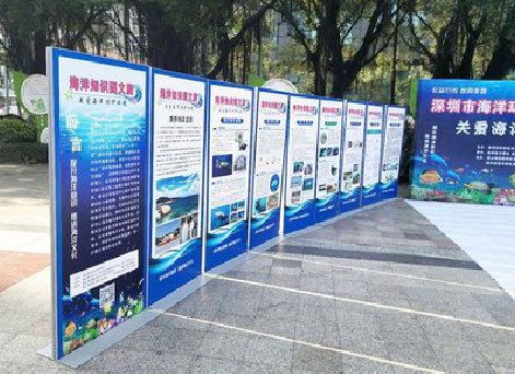 宁海KT板的种类和知识。